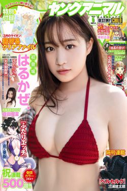 克里斯汀-斯图尔特