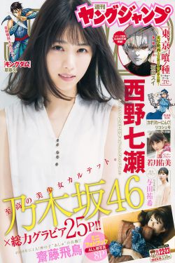 电视剧国家公诉