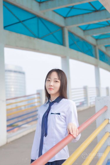 风吹半夏电视剧在线观看全集免费