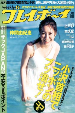 大理公主 电视剧