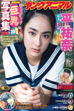 狗狗心事