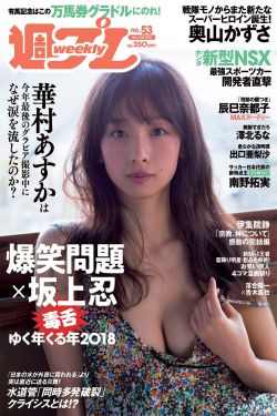 天龙八部钟汉良版54集